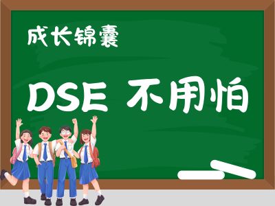 DSE 不用怕